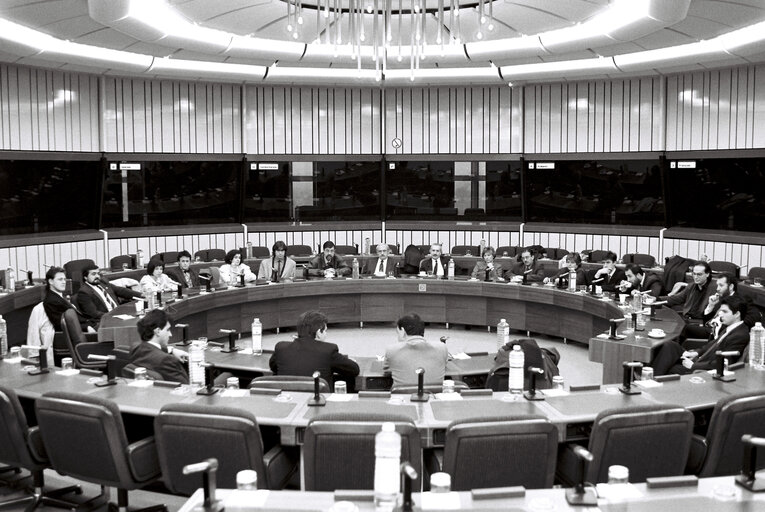 Fotografija 23: Meeting with the EP President at the EP in Strasbourg.