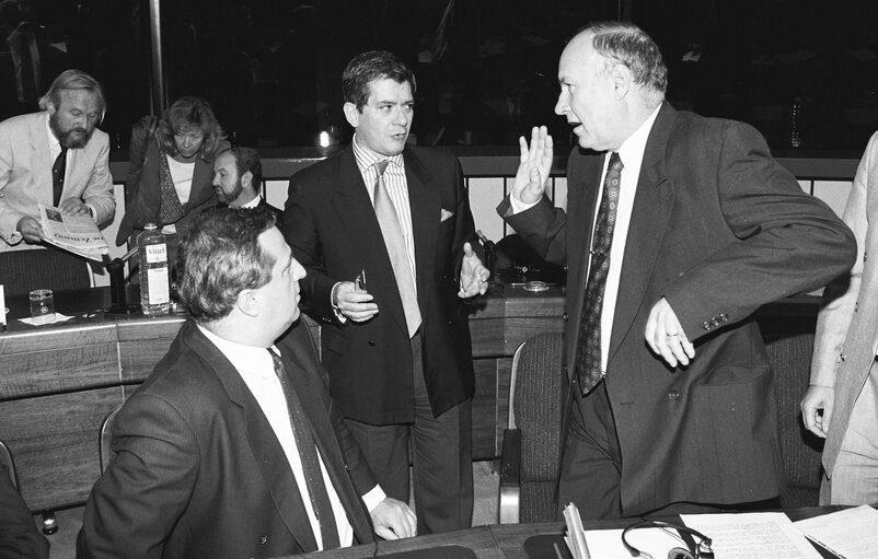 Photo 3: Meeting with the representatives of Balkans countries parliaments in Strasbourg in September 1991.