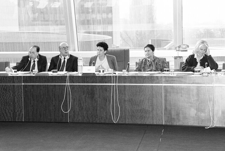 Fotografia 2: Meeting at the European Parliament in Strasbourg