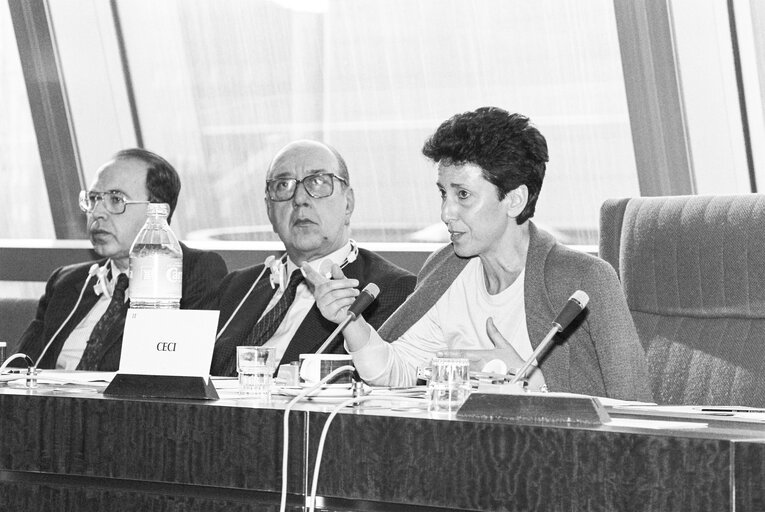 Fotografi 3: Meeting at the European Parliament in Strasbourg