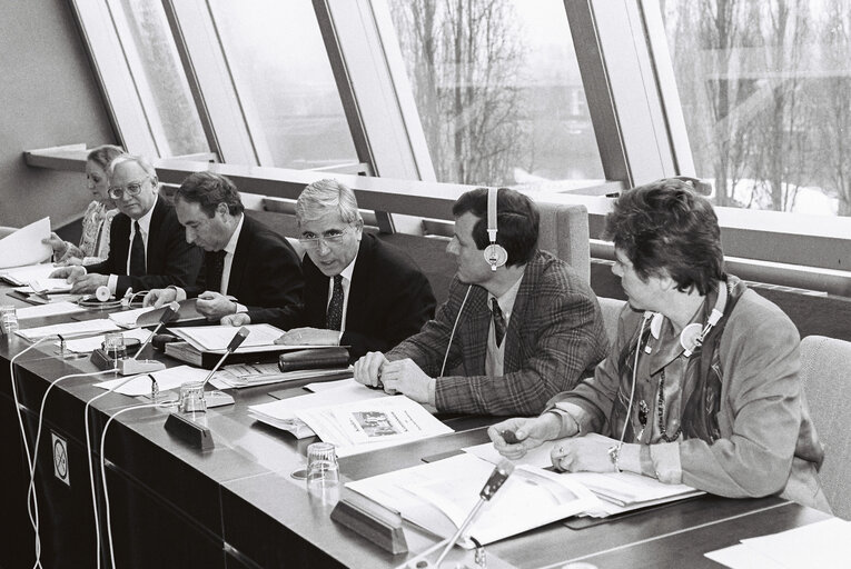 Meeting at the EP in Strasbourg - February 1991