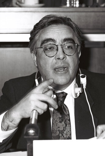 Zdjęcie 1: Luis MARINHO in a meeting in the EP in Strasbourg.