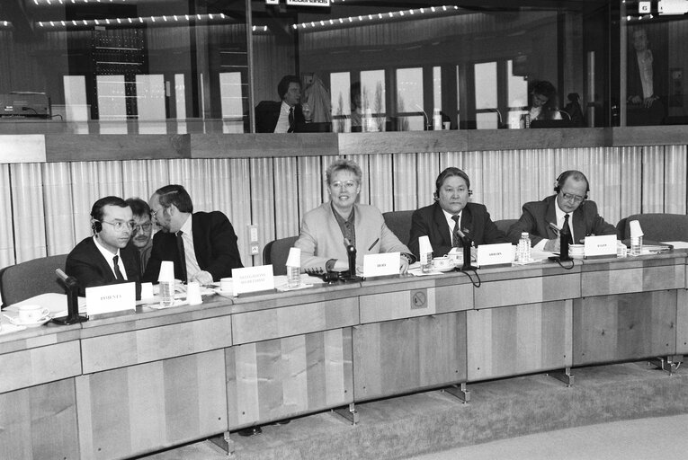 Fotografia 5: Meeting in the European Parliament