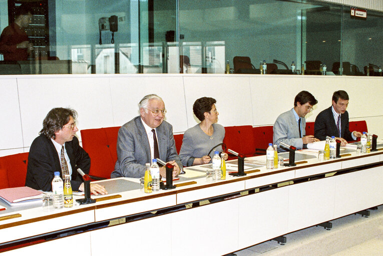 Foto 20: Meeting at the European Parliament in Brussels