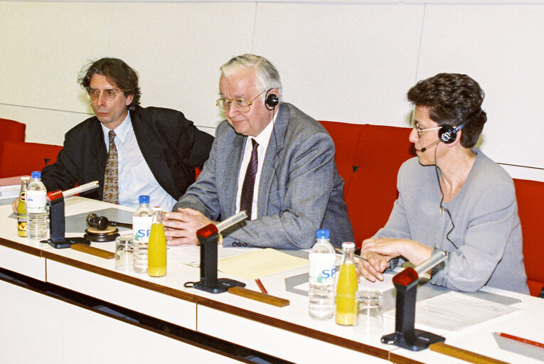 Meeting at the European Parliament in Brussels