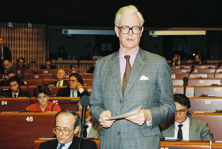 Billede 3: Plenary session in 1992