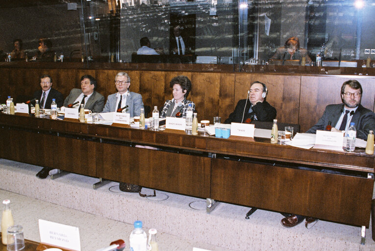Meeting in Brussels