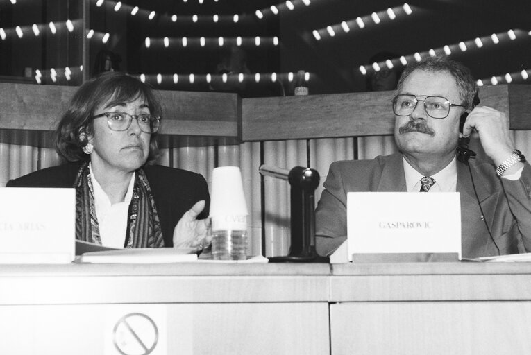 Meeting with the President of the Slovak Republic in Strasbourg in February 1993.