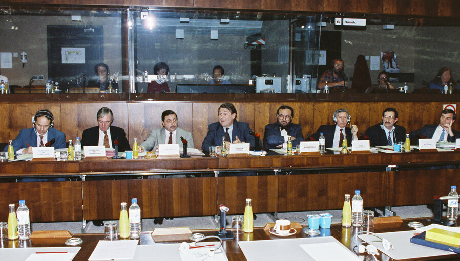 Valokuva 2: Meeting in October 1992: 'What liberalisation for gas and electricity?'