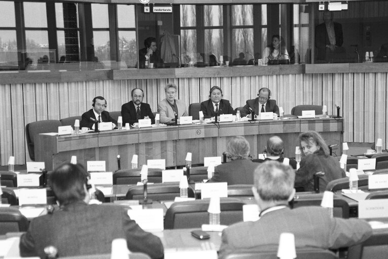 Fotografia 6: Meeting in the European Parliament