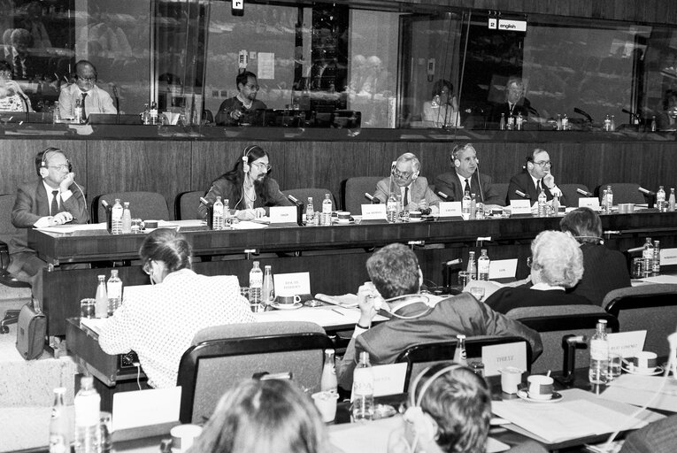 Fotografija 17: Meeting at the European Parliament in Brussels