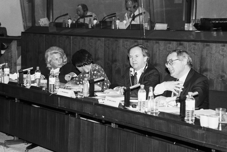 Fotografija 5: Meeting at the European Parliament in Brussels