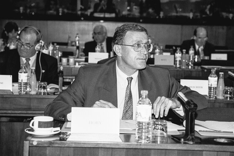 Meeting at the European Parliament in Brussels