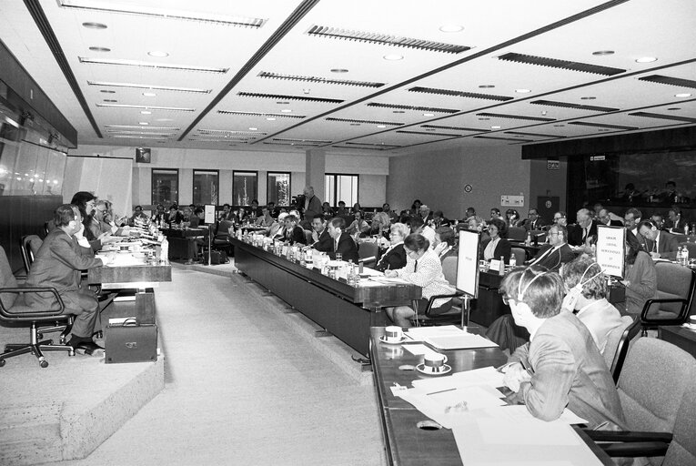 Meeting at the European Parliament in Brussels