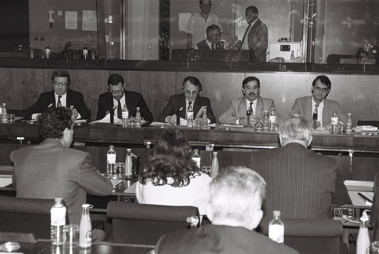 Fotografia 3: Meeting on agriculture at the EP in Strasbourg.