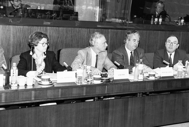 Foto 10: Meeting at the European Parliament in Brussels