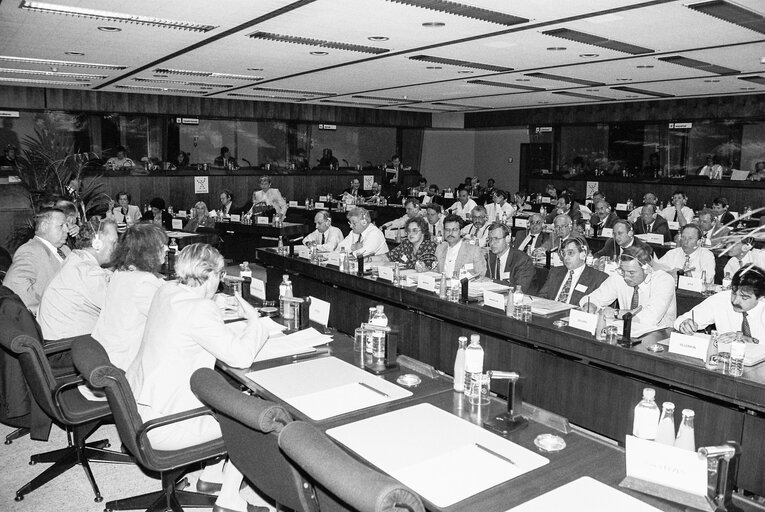 Meeting at the European Parliament in Brussels