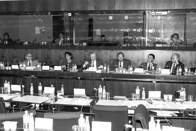 Committee Meeting on Women's Rights