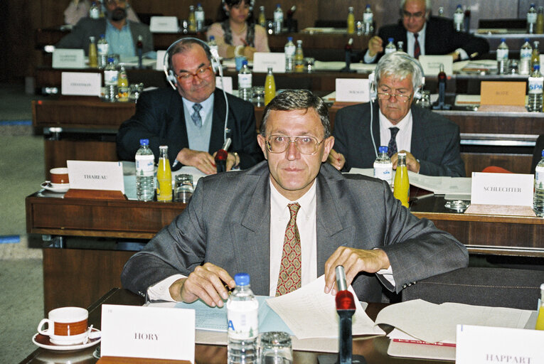 Fotografija 9: Meeting at the European Parliament in Brussels