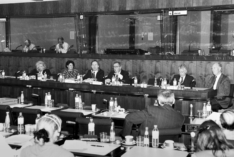 Foto 2: Meeting at the European Parliament in Brussels