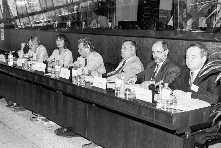 Meeting at the European Parliament in Brussels