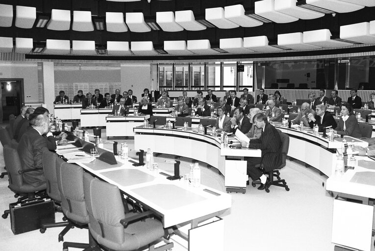 Fotografia 5: Meeting in Brussels presided by Friedrich MERZ MEP