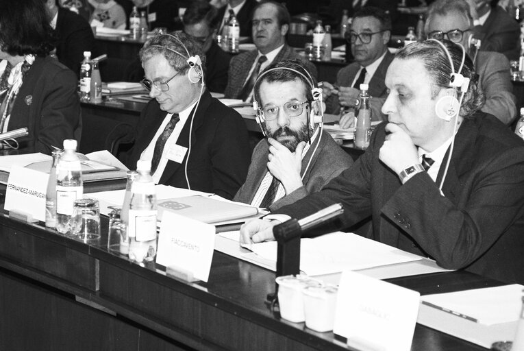 Fotografie 3: Franscisco FERNANDEZ MARUGAN, M FIACCAVENTO during a meeting in Brussels in February 1993.