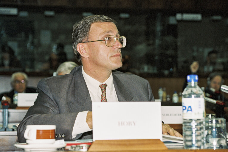 Fotografija 7: Meeting at the European Parliament in Brussels