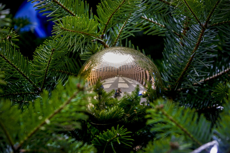 Nuotrauka 9: Christmas Tree at EP Parliament in Strasbourg