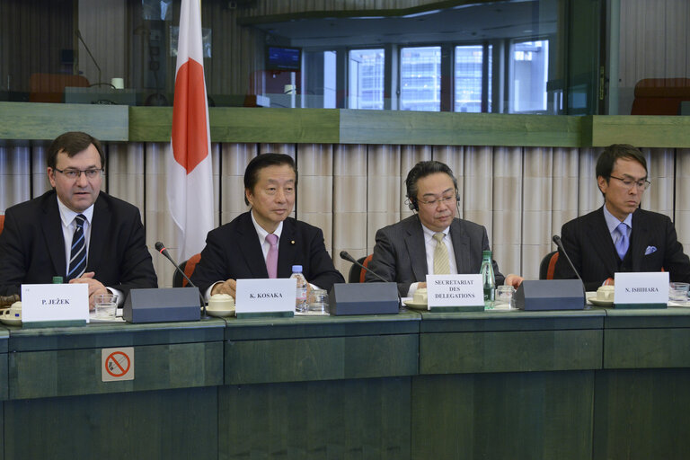 Zdjęcie 15: 35th EU-Japan Interparliamentary meeting (IPM)