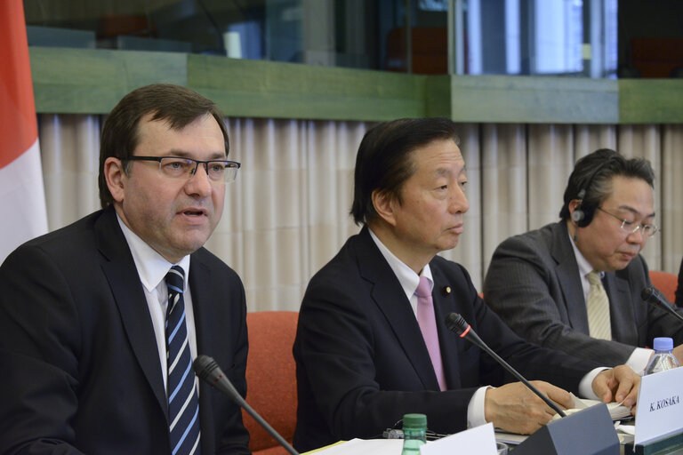 Foto 10: 35th EU-Japan Interparliamentary meeting (IPM)