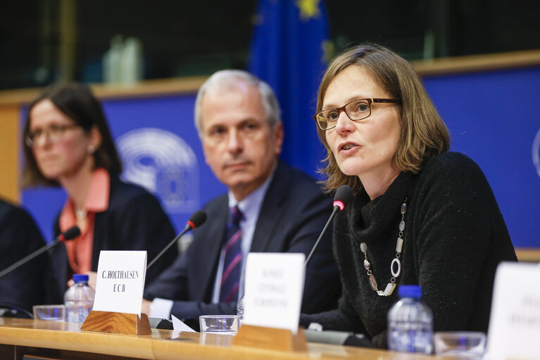 Meeting ' The ECB's non-standard monetary policy measures: how do they work? '