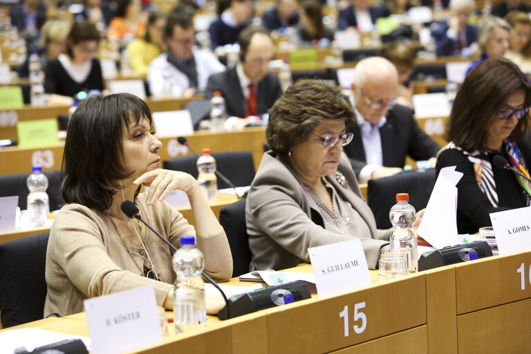 Fotografi 30: LIBE committee meeting. Vote on Media pluralism and media freedom in the European Union.