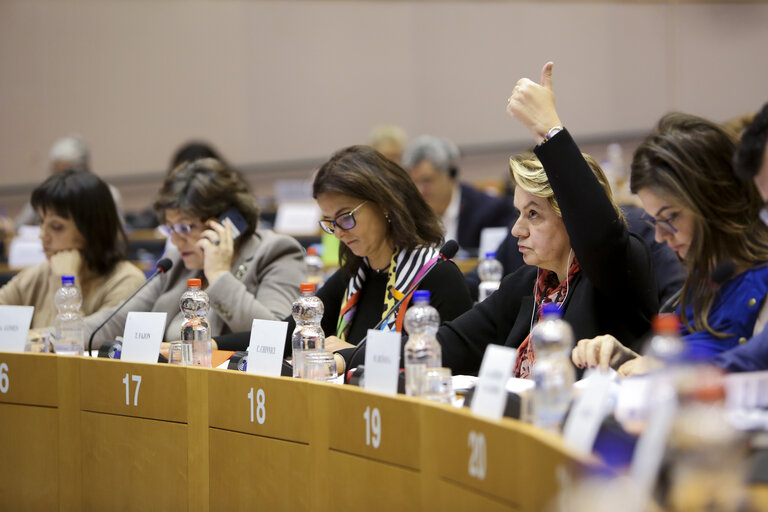 Fotografi 5: LIBE committee meeting. Vote on Media pluralism and media freedom in the European Union.