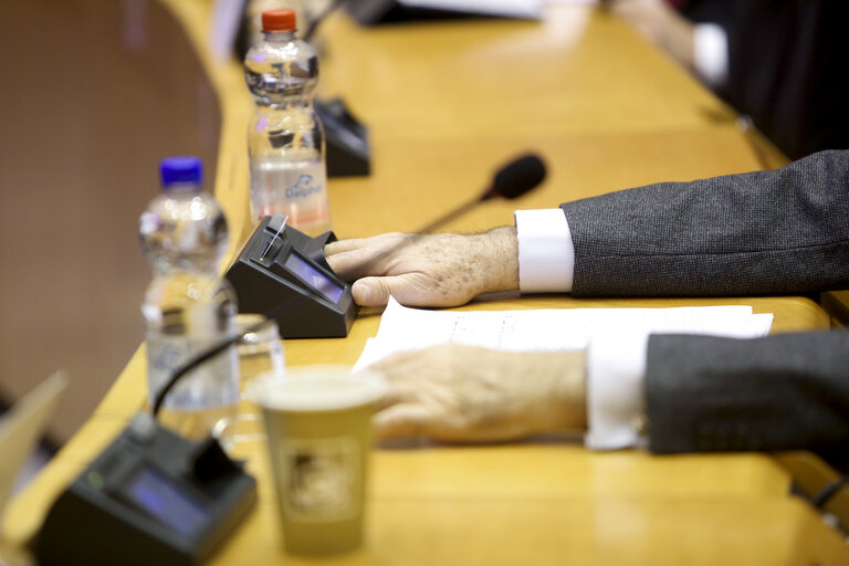 Fotografi 26: LIBE committee meeting. Vote on Media pluralism and media freedom in the European Union.