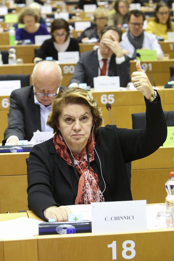 Fotografia 19: LIBE committee meeting. Vote on Media pluralism and media freedom in the European Union.