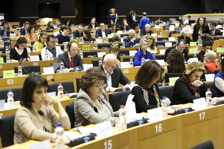 Fotografia 29: LIBE committee meeting. Vote on Media pluralism and media freedom in the European Union.