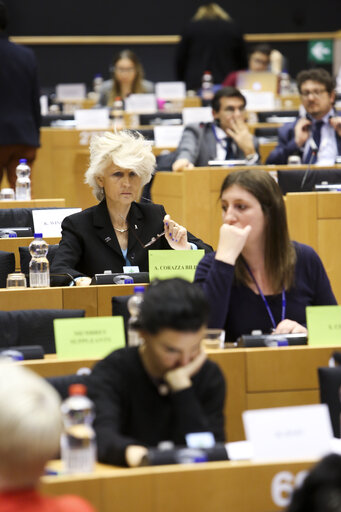 Fotografia 14: LIBE committee meeting. Vote on Media pluralism and media freedom in the European Union.