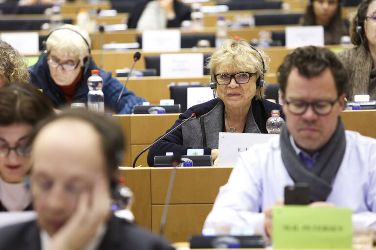 Fotografia 12: LIBE committee meeting. Vote on Media pluralism and media freedom in the European Union.