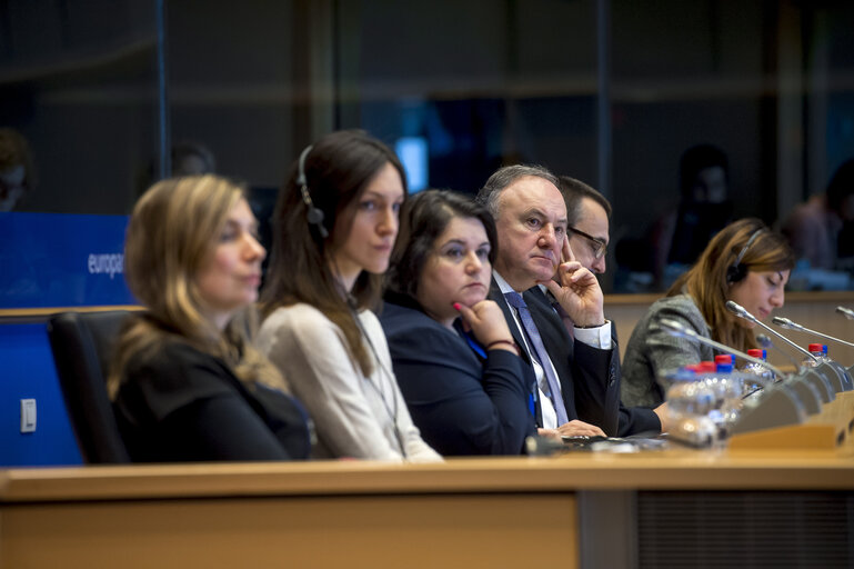 Foto 15: PETI/ENVI Joint Public Hearing on the ' Impact of Endocrine Disruptors on Public Health and the Environment '