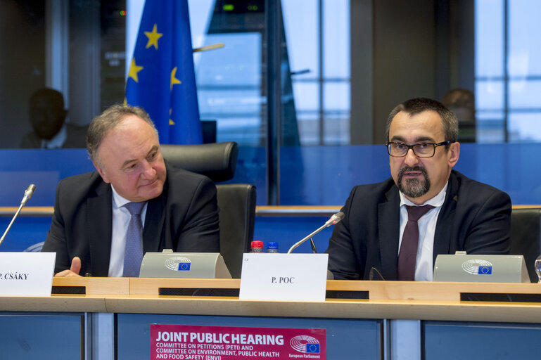 Foto 11: PETI/ENVI Joint Public Hearing on the ' Impact of Endocrine Disruptors on Public Health and the Environment '