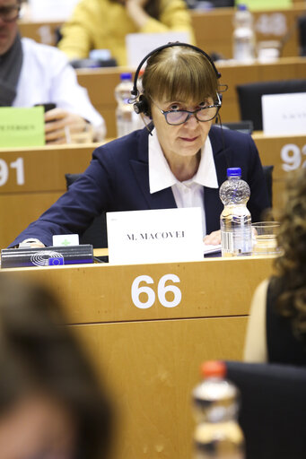 Fotografi 16: LIBE committee meeting. Vote on Media pluralism and media freedom in the European Union.