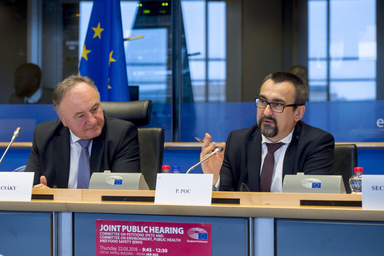 Foto 7: PETI/ENVI Joint Public Hearing on the ' Impact of Endocrine Disruptors on Public Health and the Environment '