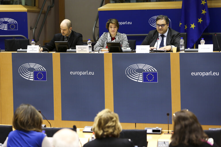 Fotografi 13: LIBE committee meeting. Vote on Media pluralism and media freedom in the European Union.