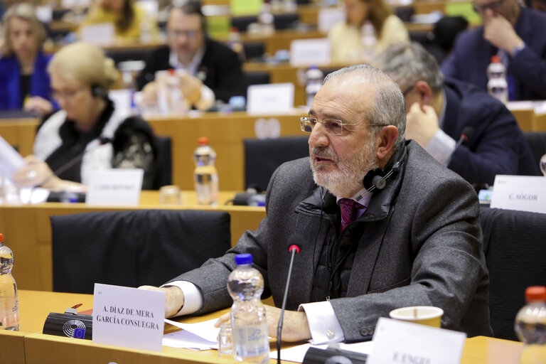 Fotografia 9: LIBE committee meeting. Vote on Media pluralism and media freedom in the European Union.