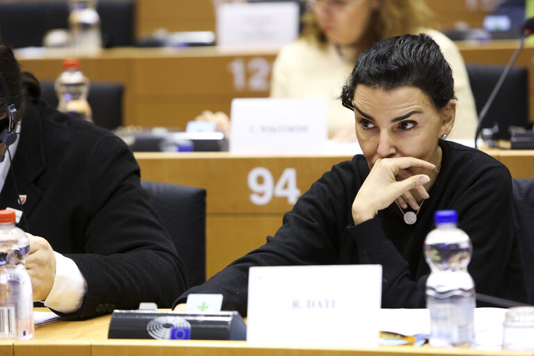 Fotografia 11: LIBE committee meeting. Vote on Media pluralism and media freedom in the European Union.