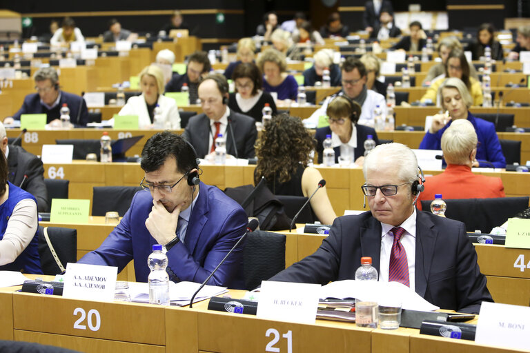 Fotografi 24: LIBE committee meeting. Vote on Media pluralism and media freedom in the European Union.