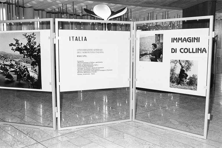 Exhibition on products from Italian agriculture