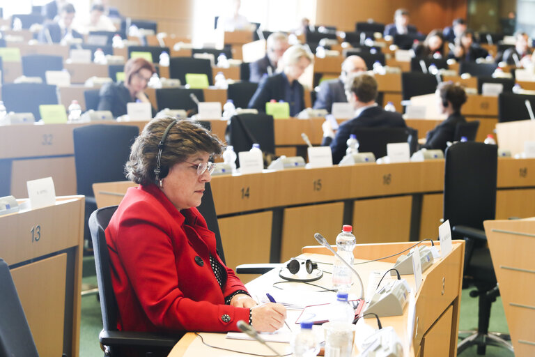 Foto 13: TERR - Special committee meeting - Exchange of views on the fight against terrorism