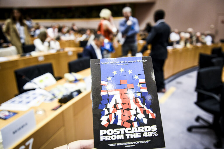 Fotografija 4: Special documentary screening: ' Postcards from the 48% - How do we stop Brexit ?'